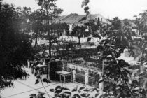 Το τραγούδι της εβδομάδας