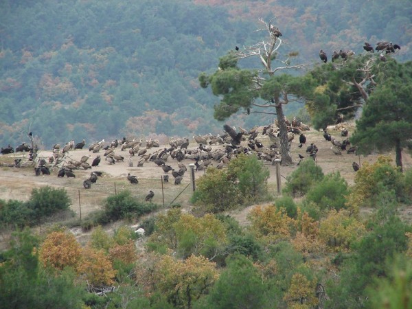 12573714_787215924738906_359680696508740519_n