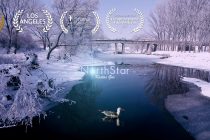 Εβρίτης σκηνοθέτης διακρίνεται σε διεθνή φεστιβάλ!