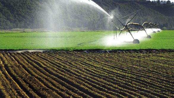 Διδυμότειχο και Ορεστιάδα στο πρόγραμμα της απονιτροποίησης στο ΠΑΑ 2014-2020