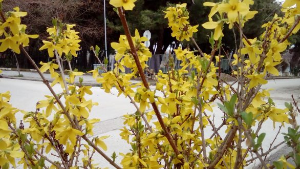 Ώσπου τέλος ένιωσα κι ας πα’ να μ’ έλεγαν τρελό,πως από ‘να τίποτα γίνεται ο παράδεισος… Οδυσσέας Ελύτης.