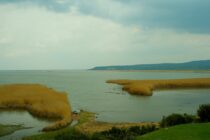 Ν. Γκαρά: «Καταργούνται οι Φορείς Διαχείρισης Δέλτα Έβρου, Σαμοθράκης και Δαδιάς. Από την Αθήνα θα έρχονται οι αποφάσεις…»