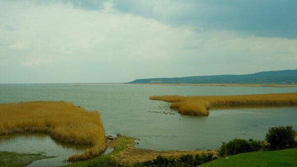 Ν. Γκαρά: «Καταργούνται οι Φορείς Διαχείρισης Δέλτα Έβρου, Σαμοθράκης και Δαδιάς. Από την Αθήνα θα έρχονται οι αποφάσεις…»