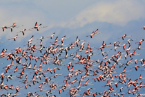 Το τραγούδι της εβδομάδας