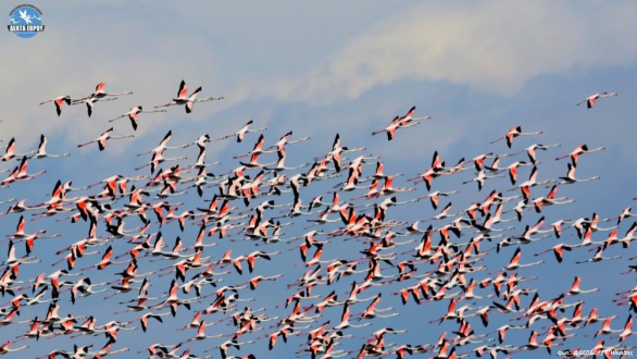Το τραγούδι της εβδομάδας