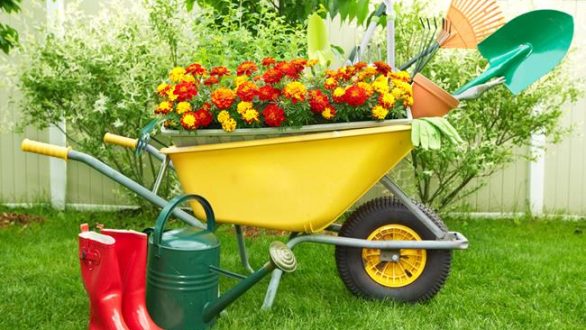Ημερολόγιο κήπου: οι εργασίες που κάνουμε στον κήπο τον Απρίλιο