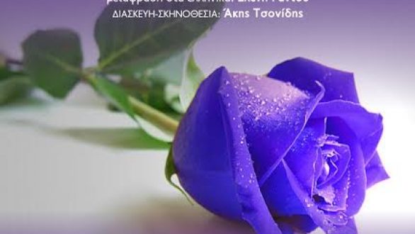 «Σε δύσκολη θέση»: Τριήμερο παραστάσεων από τον ΔΙΟΝΥΣΟ