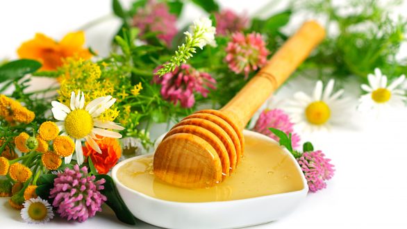 Εορτασμός της Παγκόσμιας Ημέρας Γης με δράσεις για το μέλι στο Μουσείο Μετάξης