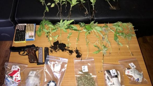 Συλλήψεις τριών ατόμων για καλλιέργεια κάνναβης στον Έβρο