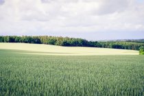 Ξεπαγώνουν τα Σχέδια Βελτίωσης