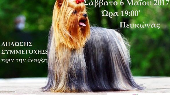 2α Καλλιστεία Σκύλων στην Ανθοκομική Έκθεση Ορεστιάδας!