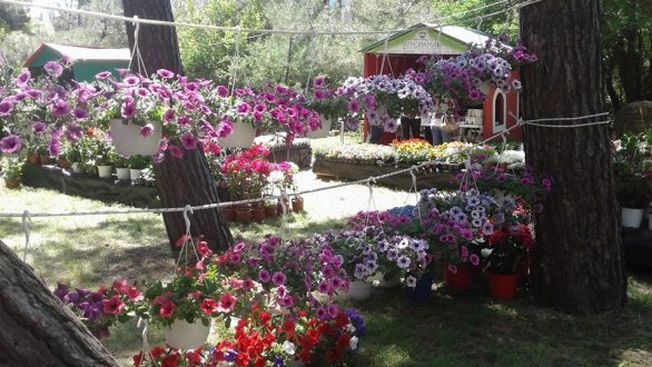 16η Ανθοκομική Έκθεση Τοπικών Προϊόντων και Γαστρονομίας στην Ορεστιάδα