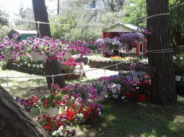 Ανθοκομική Έκθεση Ορεστιάδας