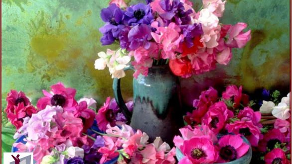 Παγκόσμια Ημέρα της Μητέρας στο Ιστορικό & Λαογραφικό Μουσείο Ορεστιάδας