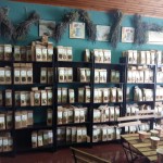 Ολοκληρώθηκε η επίσκεψη μαθητών του 1ου ΕΠΑ.Λ. Ορεστιάδας στην Κύπρο