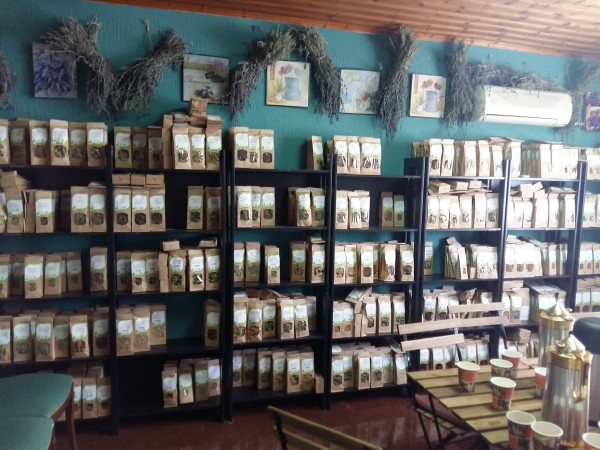 Ολοκληρώθηκε η επίσκεψη μαθητών του 1ου ΕΠΑ.Λ. Ορεστιάδας στην Κύπρο