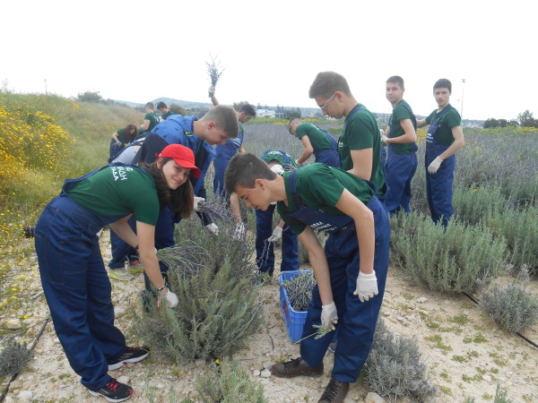Ολοκληρώθηκε η επίσκεψη μαθητών του 1ου ΕΠΑ.Λ. Ορεστιάδας στην Κύπρο