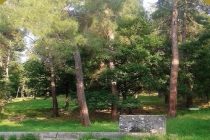 Ημέρα περιβάλλοντος στο Δάσος της Δαδιάς