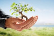 Υποχώρηση της Ελλάδας στην κατάταξη των φιλικών προς το περιβάλλον χωρών του κόσμου