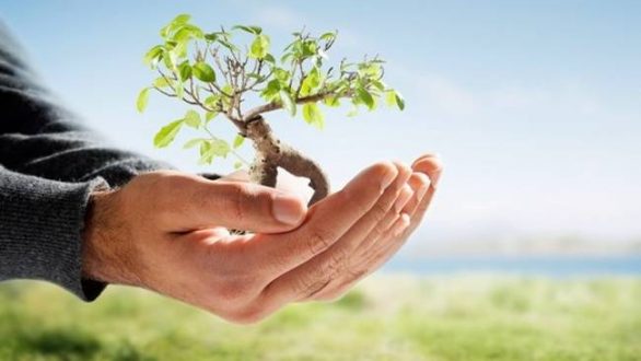 Υποχώρηση της Ελλάδας στην κατάταξη των φιλικών προς το περιβάλλον χωρών του κόσμου