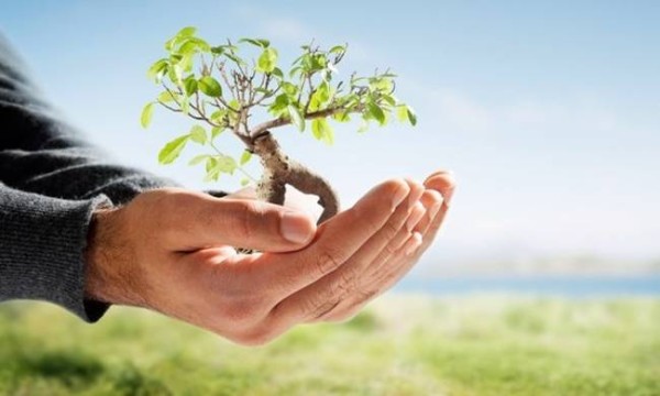 Προστασία Περιβάλλοντος “Προστατεύω το περιβάλλον, είναι στο χέρι μου!” στη Δημοτική Βιβλιοθήκη Αλεξανδρούπολης