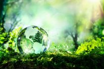 Παγκόσμια Ημέρα Περιβάλλοντος 2017