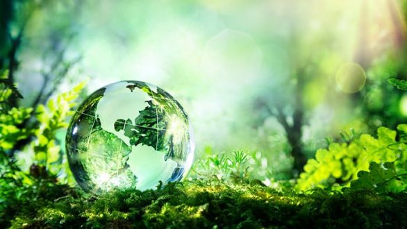 Παγκόσμια Ημέρα Περιβάλλοντος 2017