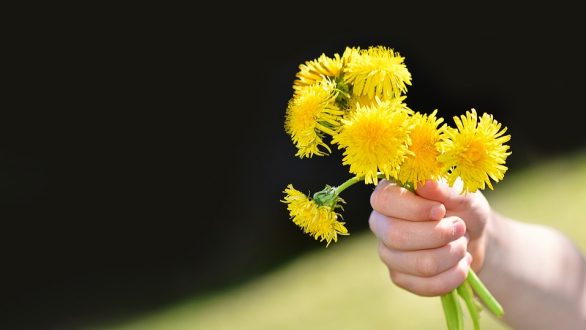 Εκδήλωση για την Παγκόσμια Ημέρα Περιβάλλοντος στην Ορεστιάδα