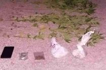 Συνελήφθη 38χρονος με φυτεία κάνναβης στην Ορεστιάδα