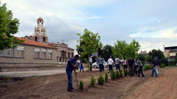 Εθελοντική δενδροφύτευση στη Ν.Βύσσα