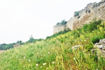 Tο τραγούδι της εβδομάδας