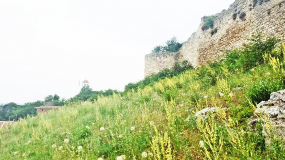 Tο τραγούδι της εβδομάδας