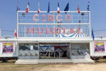 Κέρδισε αμέσως προσκλήσεις για το Τσίρκο Μουντιάλ!