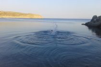 Συμβουλές προστασίας από τον καύσωνα