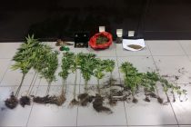 Επιχείρησε να γεμίσει με ναρκωτικά τη Σαμοθράκη