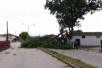 Χαλαζοπτώσεις και ισχυροί άνεμοι πλήττουν τον Βόρειο Έβρο