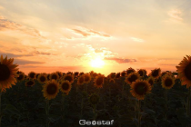 Το τραγούδι της εβδομάδας