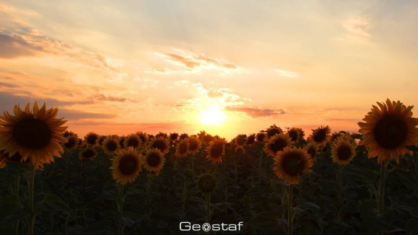 Το τραγούδι της εβδομάδας
