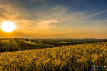 Το τραγούδι της εβδομάδας