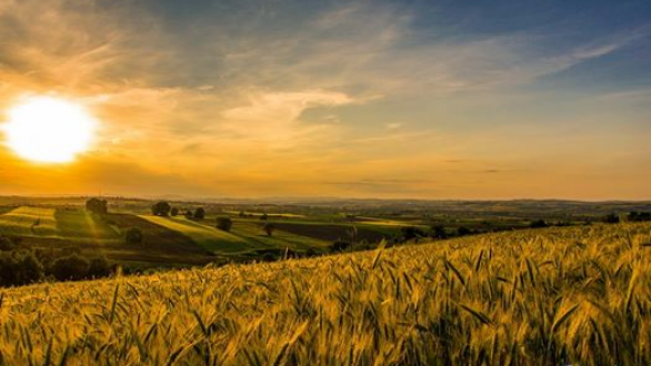 Το τραγούδι της εβδομάδας