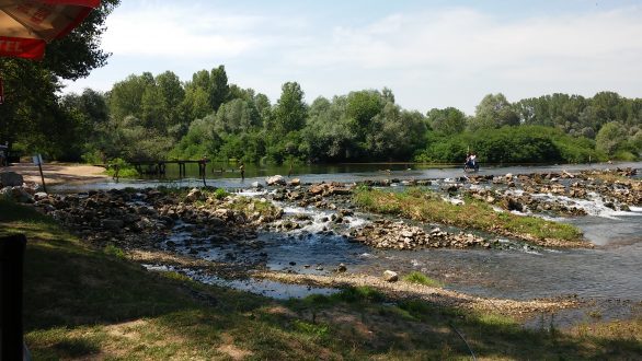 Το τραγούδι της εβδομάδας