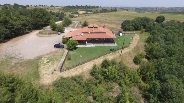 Σπήλαιο: Γαστρολογικό Αρχαιολογικό Χωρογραφικό Μουσικό Μουσείο