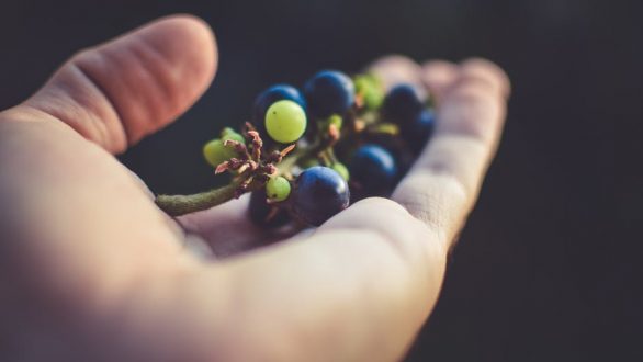 Τρεις λόγοι για να τρώτε τα κουκούτσια από τα σταφύλια