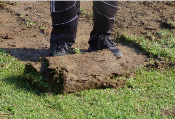 &epsilon;&rho;&gamma;&alpha;&sigma;ί&epsilon;&sigmaf; &delta;&eta;&mu;&omicron;&tau;&iota;&kappa;ό &sigma;&tau;ά&delta;&iota;&omicron; &Delta;&iota;&delta;&upsilon;&mu;&omicron;&tau;&epsilon;ί&chi;&omicron;&upsilon;