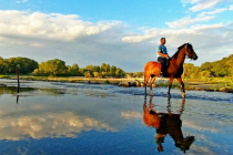 Το τραγούδι της εβδομάδας