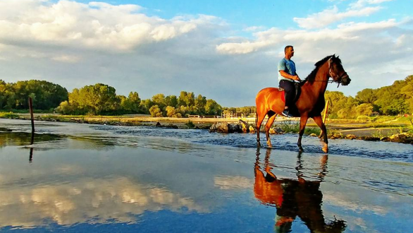 Το τραγούδι της εβδομάδας