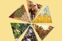 11 Σεπτεμβρίου ανοίγει τις πύλες της η 22η Πανέβρια Αγροτική Έκθεση Φερών