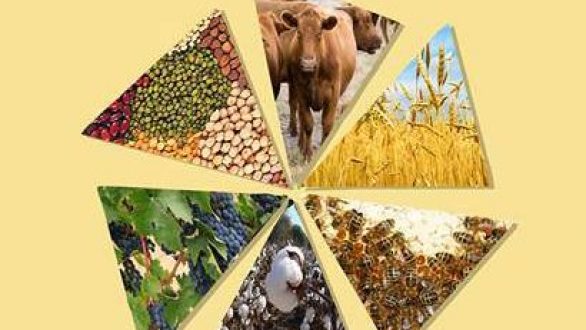 11 Σεπτεμβρίου ανοίγει τις πύλες της η 22η Πανέβρια Αγροτική Έκθεση Φερών