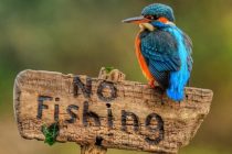 Απαγόρευση αλιείας στην Αλεξανδρούπολη