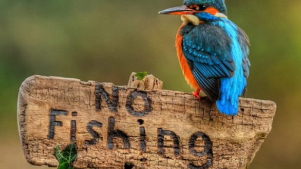 Απαγόρευση αλιείας στην Αλεξανδρούπολη